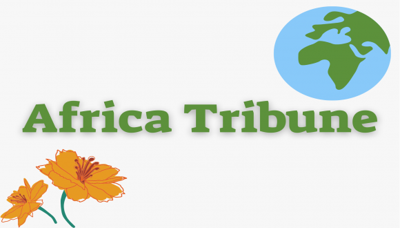 Africa Tribune | On entrepreneurship, business and development